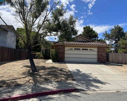 2800 Point Reyes Ct, Antioch
