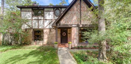 11903 N Blackjack Oak Circle, The Woodlands