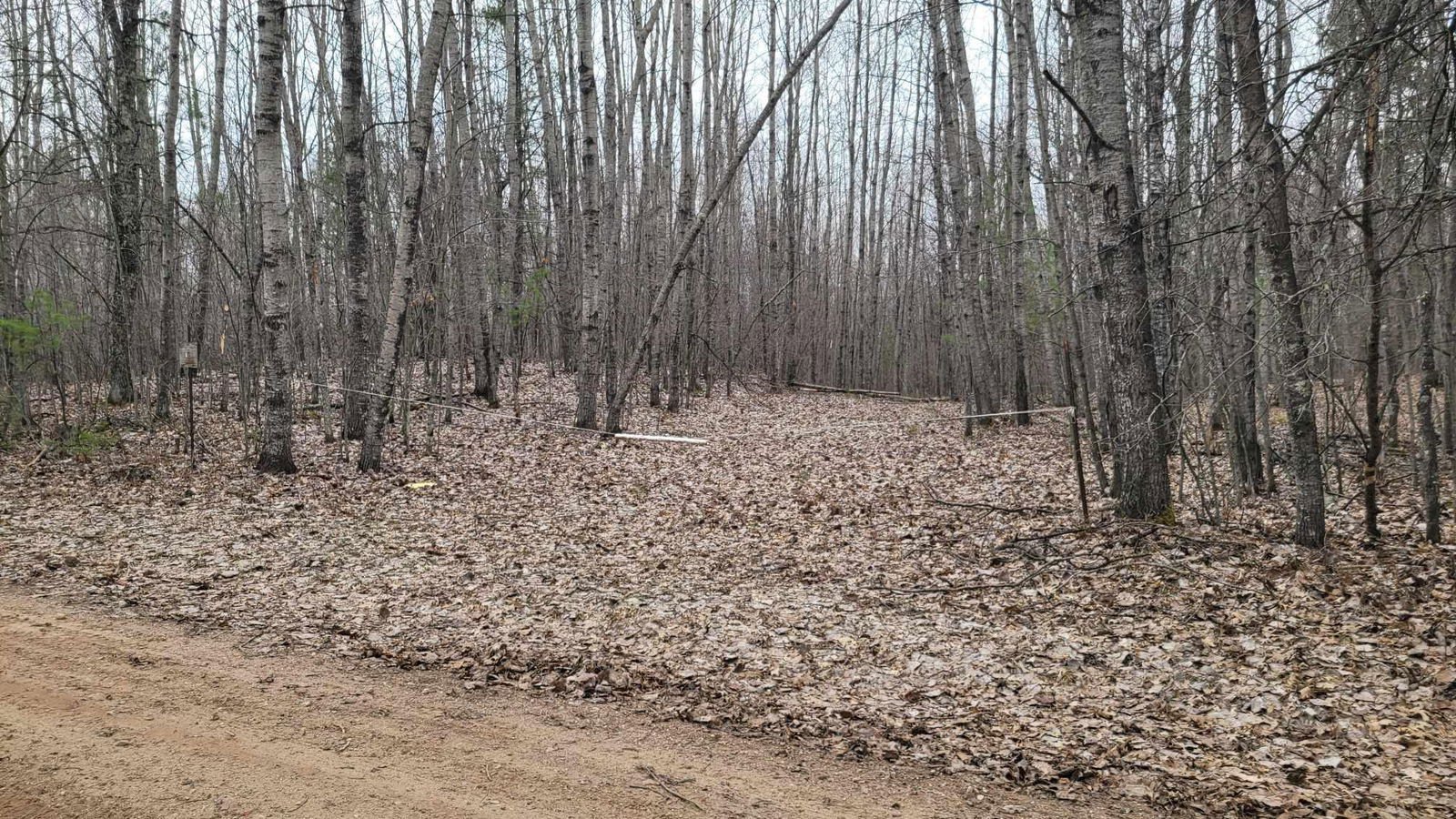 W11985 JONES Road, Athelstane, WI 54104, 54104