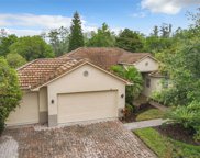 741 Coronado Drive, Poinciana image