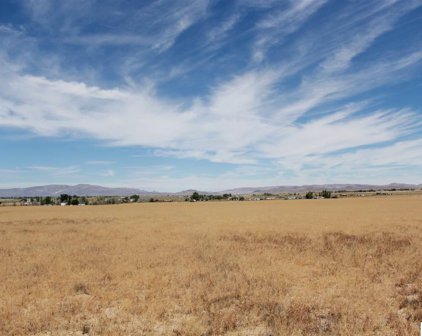 tbd Thurston, Yerington