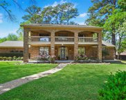 12469 Pegasus Drive, Willis image