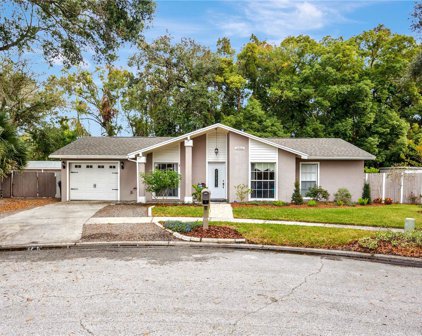 14963 Old Pointe Road, Tampa