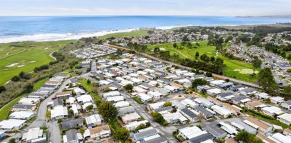 6 Sand Dollar CT L 006, Half Moon Bay