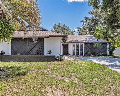 15801 Cottontail Place, Tampa