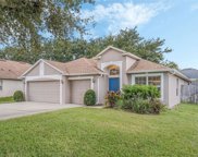 829 Grand Hughey Ct, Apopka image