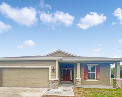 35800 Diamond Head Court, Zephyrhills