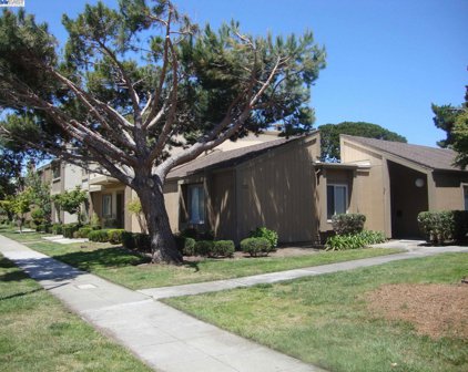 3172 Fiji Ln, Alameda