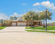 10803 Lake Raven Court, Cypress image