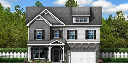 535 Birch Hawk  Divide, Rock Hill