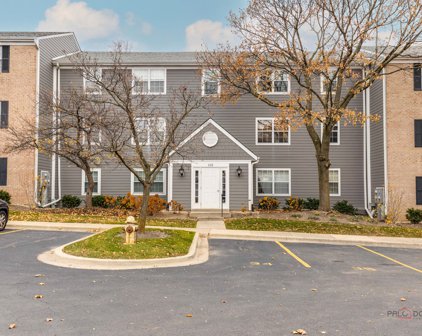 122 E Winchester Road Unit #E, Libertyville
