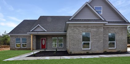 129 Deerfield Trace, Coldwater