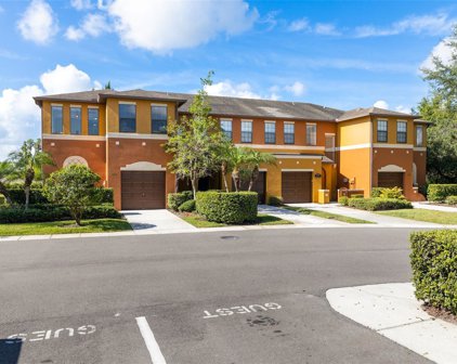 1015 Tullamore Drive, Wesley Chapel