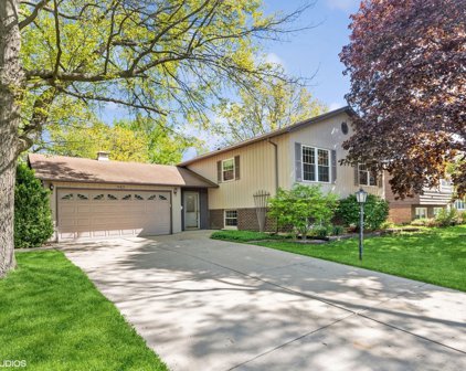 902 W Burr Oak Drive, Arlington Heights