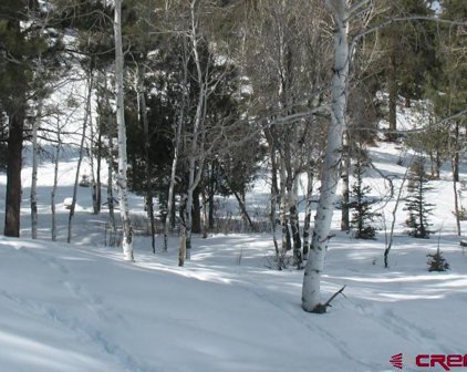 Aspen, South Fork