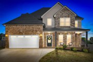 102 Wilburn Ct, Clarksville image