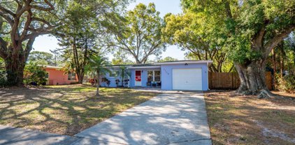 2739 Avocado Drive, Clearwater