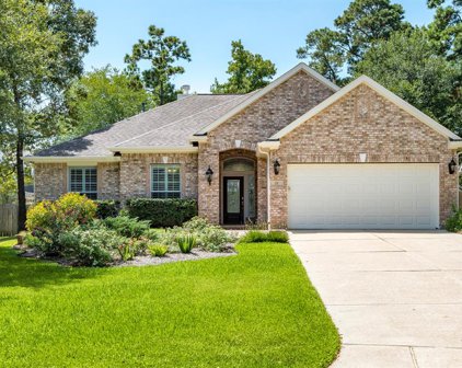 15 Red Adler Place, The Woodlands