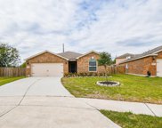 5206 Briar Cove Circle, Rosenberg image