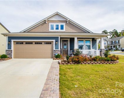 10206 Bluejack Oak  Court, Huntersville