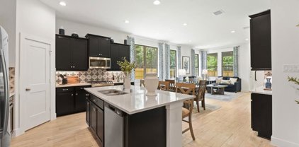 17730 Tree of Heaven Street, Conroe