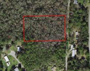 10622 S Le Baron Drive, Homosassa image