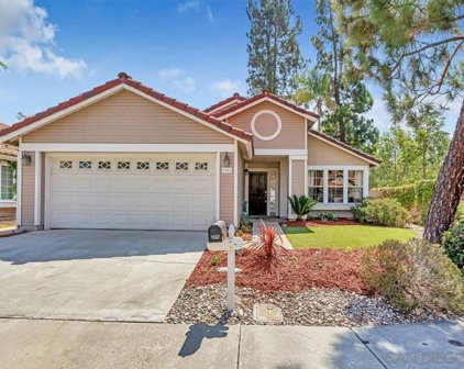 2046 Shadetree Ln, Escondido