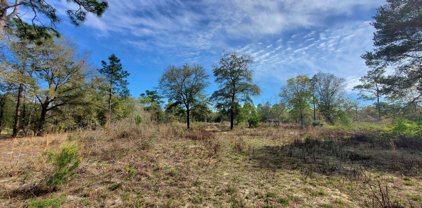 300 Fish Or Cut Bait Drive, Defuniak Springs