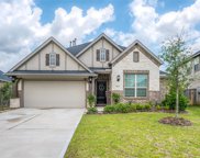 1923 Village Orchard Lane, Katy image