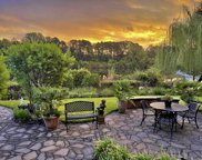 1655 Paradise Lake Drive, Mount Pleasant image