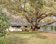 205 Sandyhook Lane, Deland image