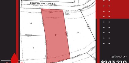 2807 Chinaberry Lane, Alvin