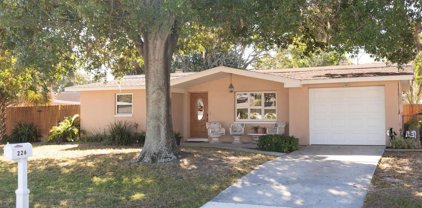 226 Maple Avenue, Palm Harbor