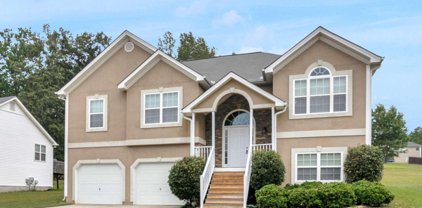 4389 Tillage Path, Douglasville