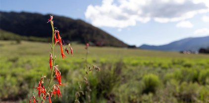 364 Diamond Road, Creede