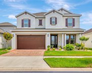 10610 Cardera Drive, Riverview image