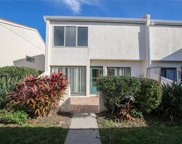 8707 Cove Court, Tampa image