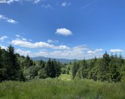 45010 NE COLUMBIA TIE RD, Amboy image