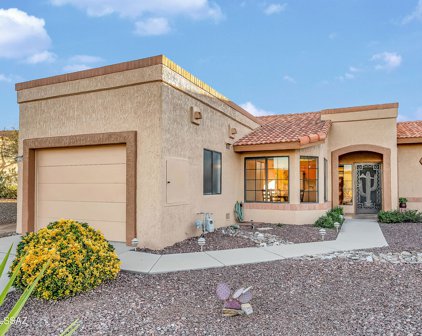 13956 N Green Tree, Oro Valley