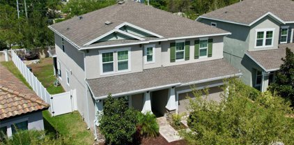 11824 Frost Aster Drive, Riverview