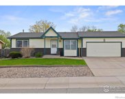 362 Slippery Elm Place, Loveland image