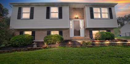 414 Stacy Lee Ct, Westminster