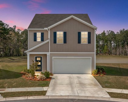137 Blossom Wood Lane, Summerville