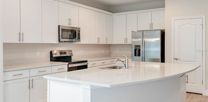 287 Villa Corte Drive, Lutz