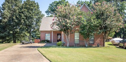 4392 Shiney Point Cove, Southaven
