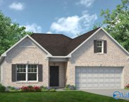 113 Ginhouse Way, Priceville image