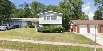 3475 Saint Catherine  Street, Florissant