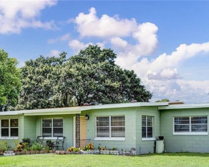 1419 Sawyerwood Avenue, Orlando