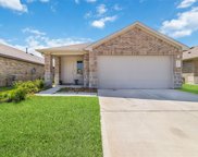 2346 Otter Falls  Dr, Spring image
