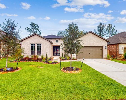 181 Goldenwave Loop, Montgomery